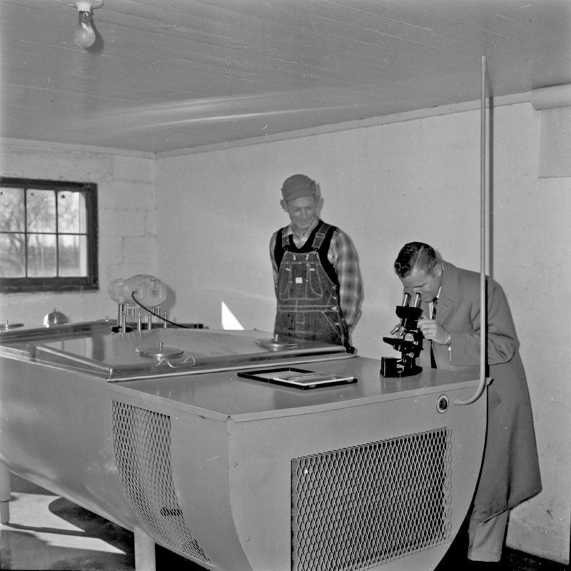 074_insured the milk supply remained healthy. (1958).jpg